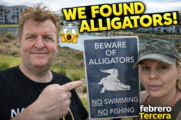 Febrero 2026 .. tercer update..